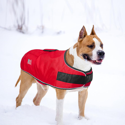 Beautyzoo Abrigo Reflectante De Invierno Para Perros De...