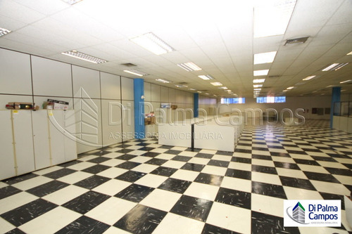 Imagem 11 de 15 de Conjunto Comercial Com 1440m² No Ipiranga - Dp2216