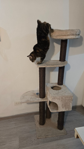 Rascador Torre Para Gatos 4 Niveles Beige (Usado)