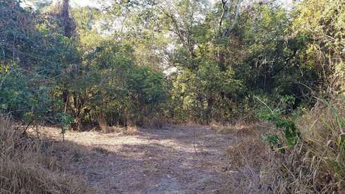 Imagem 30 de 30 de Chácara, Campo Alto, Pirassununga - R$ 180 Mil, Cod: 10131719 - V10131719