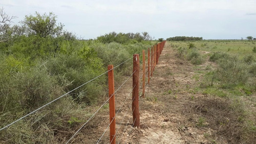 Imagen 6 de 21 de Campo Ganadero Trabajando