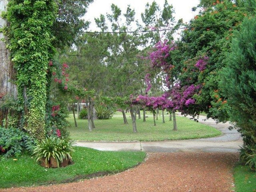 Imagen 2 de 17 de Casa En Venta De 3 Dormitorios En Punta Ballena (ref: Lij-2124)