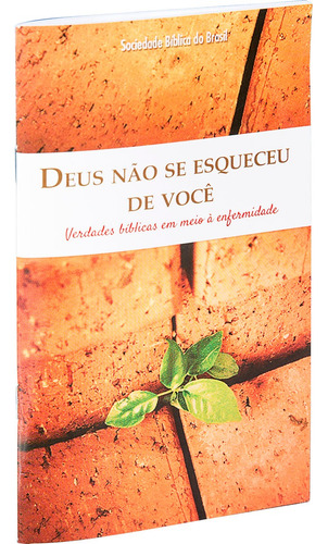 Deus não se esqueceu de você: Nova Tradução na Linguagem de Hoje (NTLH), de Sociedade Bíblica do Brasil. Editora Sociedade Bíblica do Brasil, capa mole em português, 2014