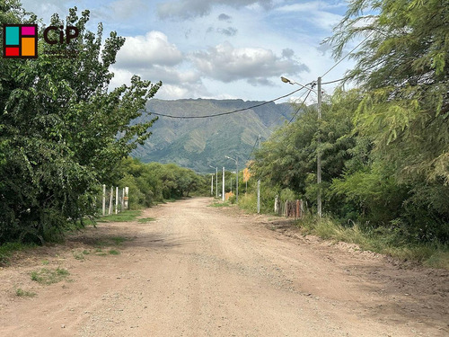 Terreno En Carpinteria