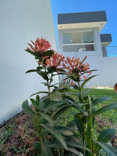 Imagem 13 de 22 de Casa Nova Na Serra De Mairiporã Melhor Ar Impossível