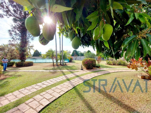 Imagem 9 de 30 de Chacara - Ch00108 - 69858898