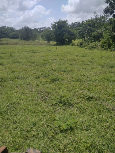 Imagen 6 de 17 de Venta 199 Hectáreas - Para Cultivo Y Ganado