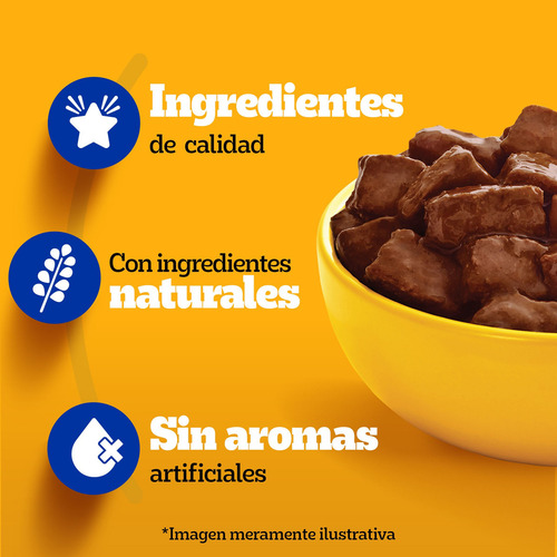 Pedigree Alimento Húmedo En Sobre Perro Raza Peq Carne 12un