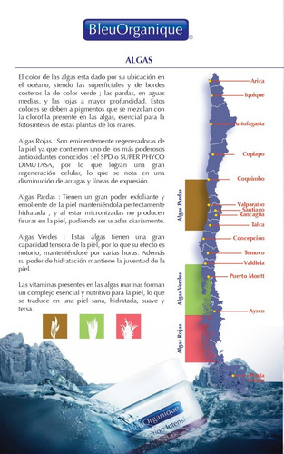 Imagen 6 de 7 de Shampoo Algas Rojas Bleuorganique Antí Caída, Vitamina E
