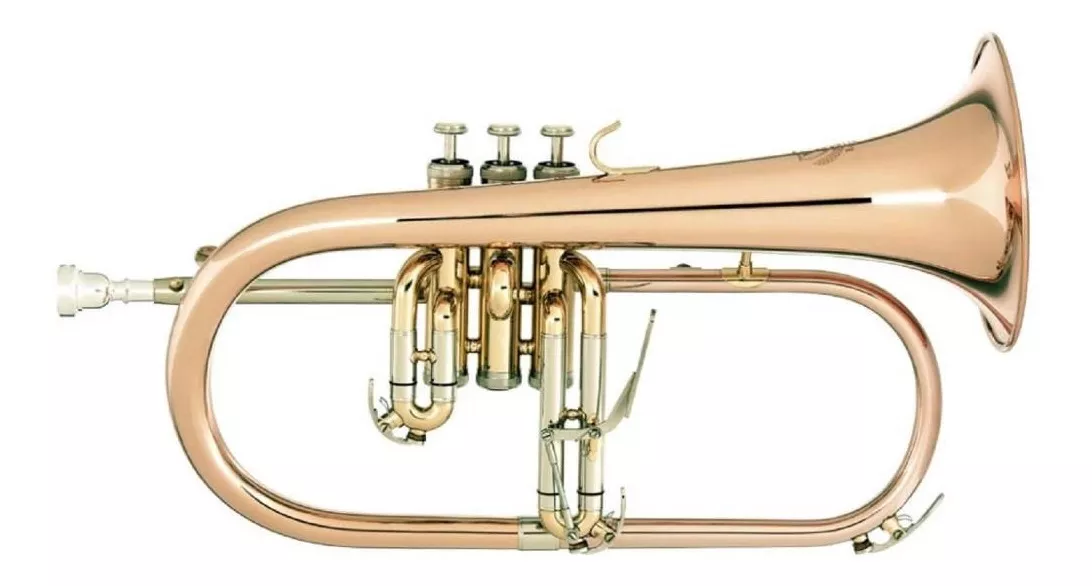 Primeira imagem para pesquisa de flugelhorn