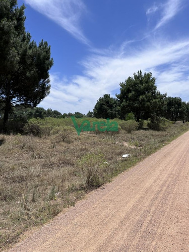 Imagen 4 de 10 de Terrenos Financiados En Nilo Park , Lomas De Solymar