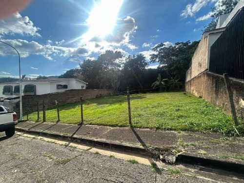 Mariana Castillo Vende Terreno En Prebo Ii (sot-013)