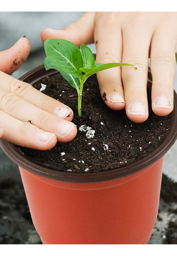 Maceta Plástica Rígida Para Jardín 1 L Orificio Salida Agua