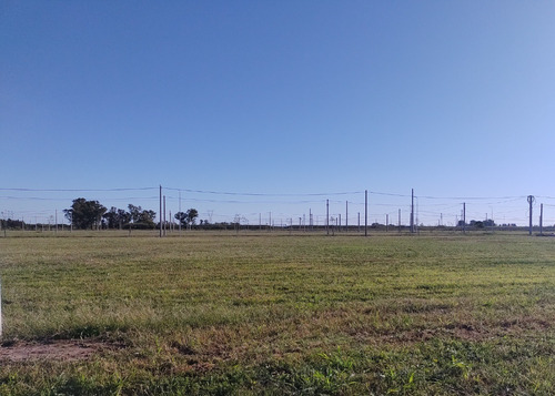Imagen 7 de 8 de Campo En Venta - Alvear - Ideal Emprendimiento Inmobiliario U Otro