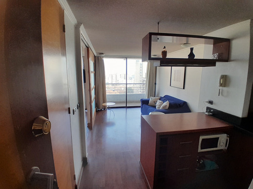 Se Arrienda Departamento Amoblado En Providencia
