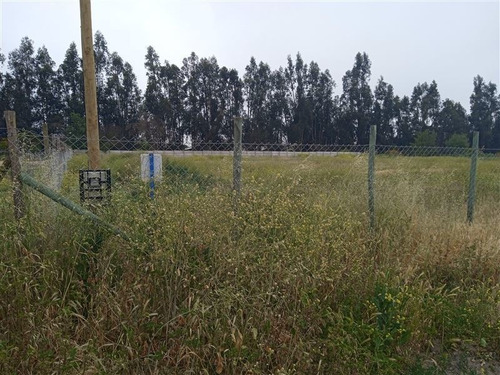 Imagen 22 de 23 de Sitio En Venta En Isla De Maipo