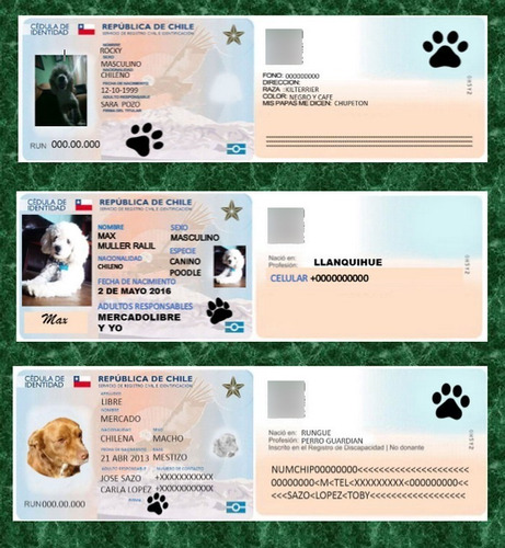 Plantilla Registro Diseño Carnet Chileno Para Mascotas