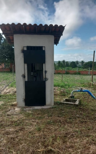 Sitio Com 9.3 Hectares Com Irrigação, Muita Água.