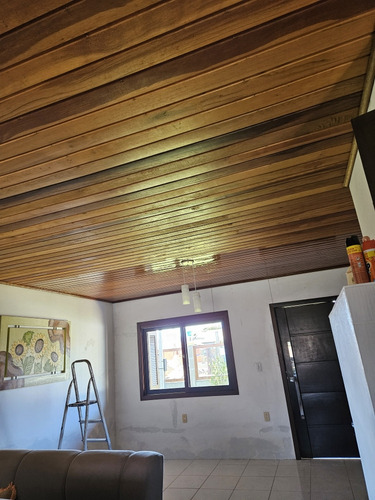 Pintor Profissional