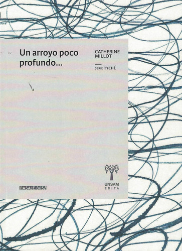 Un Arroyo Poco Profundo... - Catherine Millot