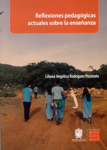 Reflexiones Pedagógicas Actuales Sobre La Enseñanza, De Liliana Angélica Rodríguez Pizzinato. Editorial U. Distrital Francisco José De C, Tapa Blanda, Edición 2022 En Español