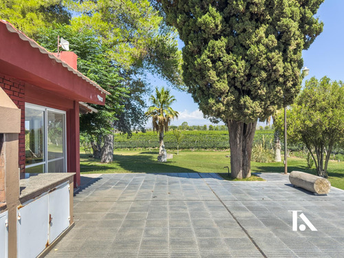 Finca Productiva En Ugarteche Y Casa De Huespedes