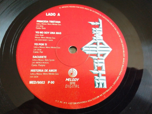Timbiriche Lp 10 Y (Usado)