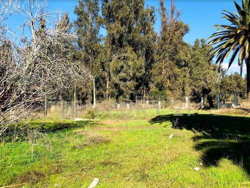 Imagen 10 de 14 de Terreno En Quilpue