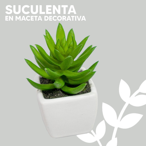 3 Minis Suculenta En Maceta De Cerámica Cuadrada Blanco