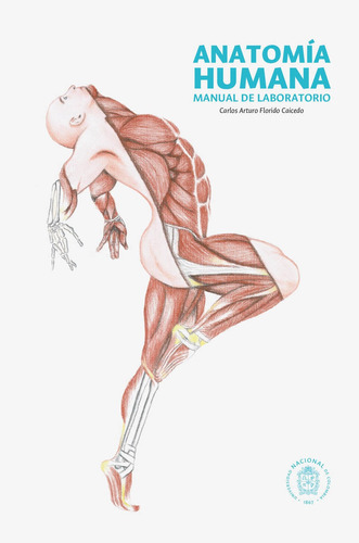 Anatomía humana. Manual de laboratorio, de Carlos Arturo Florido Caicedo. Editorial Facultad de Medicina. Universidad Nacional de Colombia, tapa blanda en español, 2022
