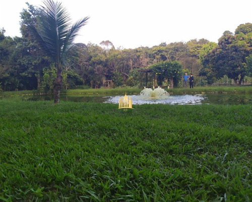 Imagem 12 de 30 de Sitio Em Boa Vista - Esmeraldas - St00068 - 34802218