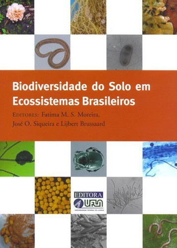 Biodiversidade Do Solo Em Ecossistemas Brasileiros, De Fátima M. S. Moreira, José O. Siqueira E Lijberr Brussaard. Editora Ufla, Capa Mole, Edição 1 Em Português, 2008