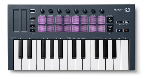 Teclado Controlador Novation Flkey Mini Usb Midi