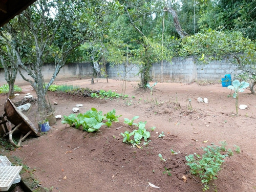 Imagem 23 de 29 de Oportunidade Chacara Biuna 2.000 M Casa,pomar,horta E Murada