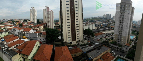 Apartamento Padrão Para Venda Em Piqueri São Paulo-sp - 342