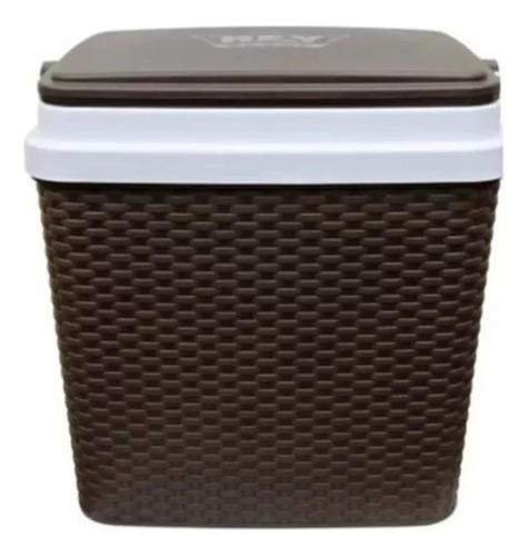 Cooler Hielera Portatil Pequeña 30l
