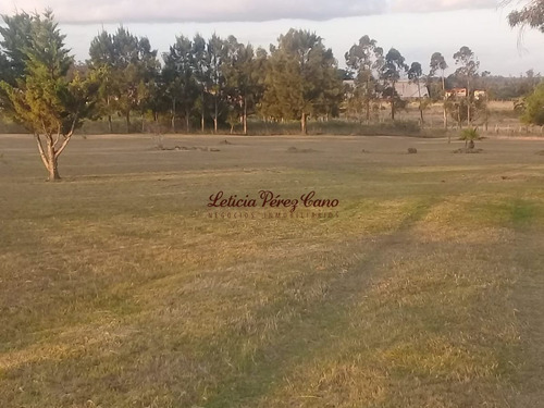 Imagen 13 de 22 de Venta De Chacra Con Casa , 5 Has , Maldonado