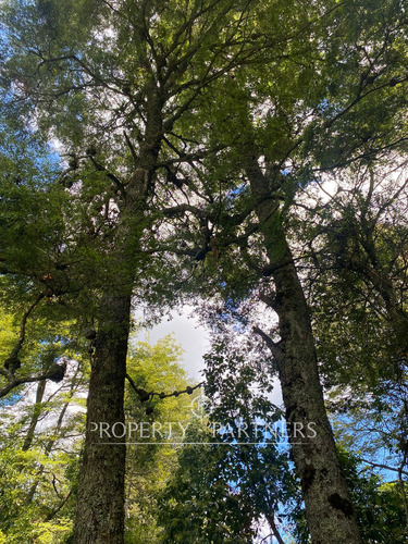 Parcela Con Casa Y Bosque En Panguipulli Ñancul, A...