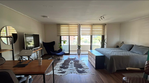 Excelente Depto Duplex 1dorm 3baños, Providencia