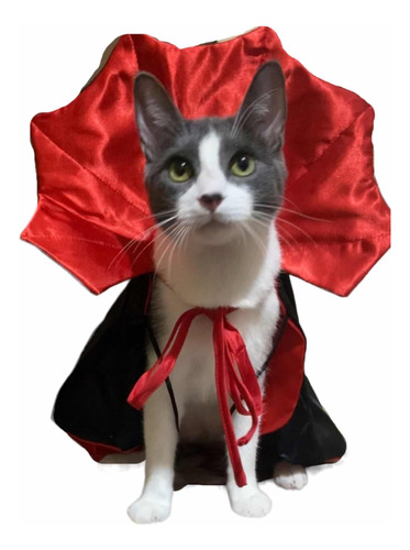 Disfraz De Halloween Para Gato O Perro Pequeño: Vampiro