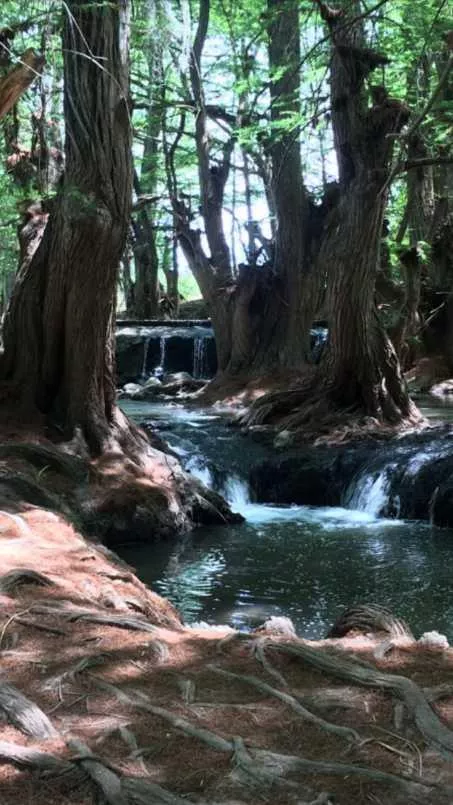 Terreno En Venta En Nombre De Dios, Durango