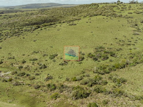 Imagen 11 de 28 de Campo 180 Hás En Altos De Carapé