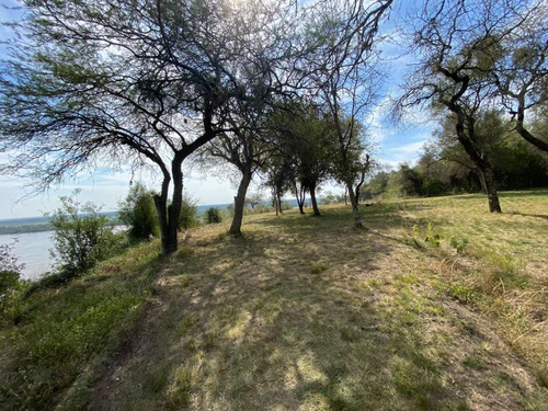 Arriendo /alquilo En Colonia Celina Entre Rios , Sobre El Rio 5 1/2 Hectareas