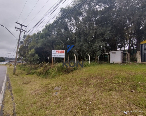 Imagem 2 de 19 de Terreno A Venda Em Araucária Pr - Te00009 - 69431290