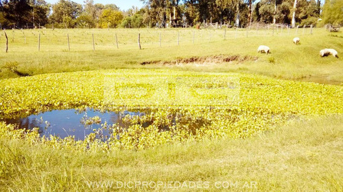 Casa 6 Ambientes En Campo De 3 Hectareas Piscina Quincho En Victoria Prov. De Entre Rios
