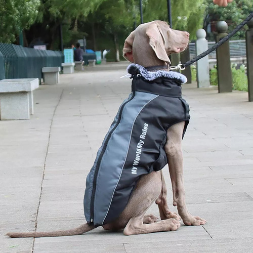 Trajes Chaleco Chaqueta Abrigos Frío Perros Grandes