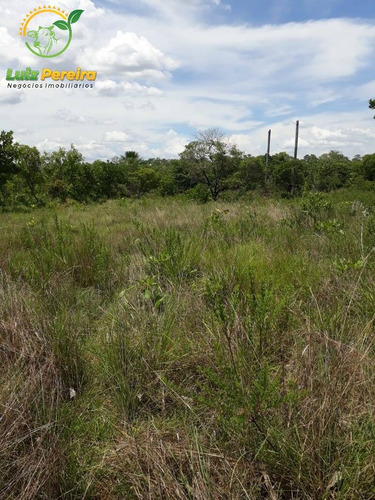 Imagem 11 de 15 de Fazenda À Venda Em São Valério - To - De 624 Hectares (dupla Aptidão) - 1777