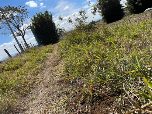 Imagem 7 de 8 de 20 Loteamento Fechado Lote Plaino Ultima Unidade 30mil