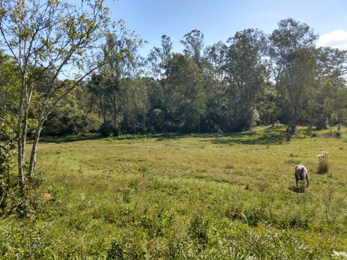 Chácara 10.000 M² - Mato Fino - Gravataí - Rs - 2097 - 33813852