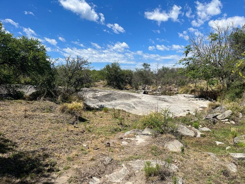 Venta Campo Villa Quillinzo (40 Hectareas) Ideal Para Loteo